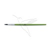 /cameleon/CAMBRLB6