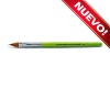 /cameleon/newCAMBMICH1