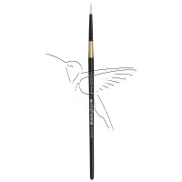 /ami/AM576637
