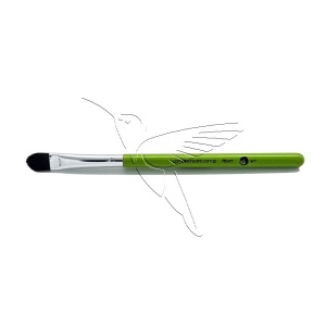 /cameleon/CAMBFIL1